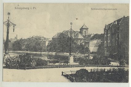 Krlewiec