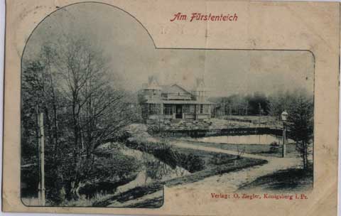 Krlewiec
